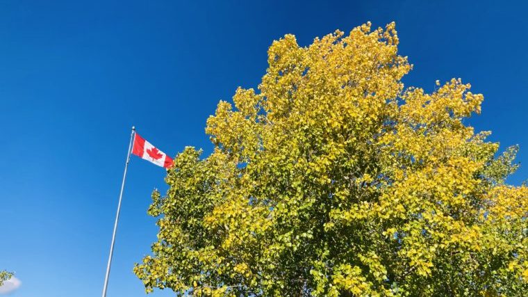 canada flag autumn ユーコンニュース
