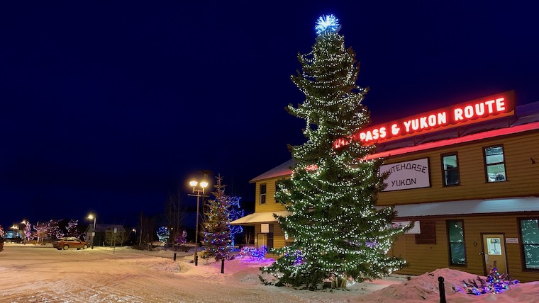 yukon whitehorse main street Christmas tree ユーコンニュース クリスマス点灯